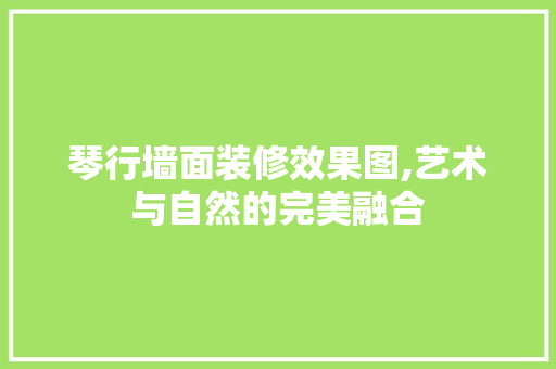 琴行墙面装修效果图,艺术与自然的完美融合 常用设备