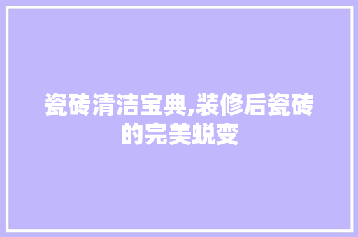 瓷砖清洁宝典,装修后瓷砖的完美蜕变 工艺流程
