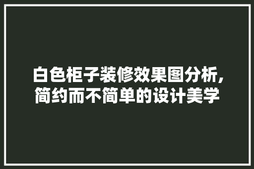 白色柜子装修效果图分析,简约而不简单的设计美学 施工技术