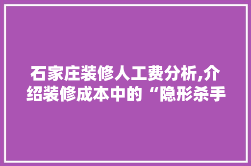 石家庄装修人工费分析,介绍装修成本中的“隐形杀手” 工艺流程