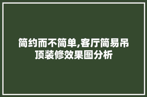 简约而不简单,客厅简易吊顶装修效果图分析 施工技术