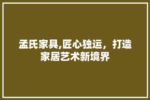 孟氏家具,匠心独运，打造家居艺术新境界 施工工艺