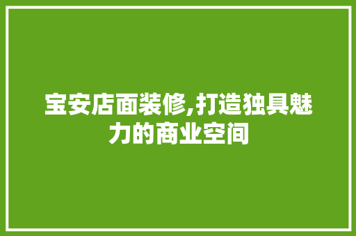 宝安店面装修,打造独具魅力的商业空间 施工管理