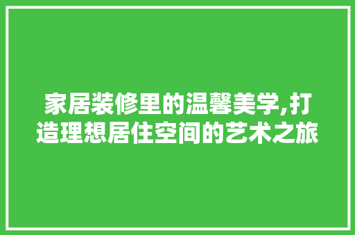 家居装修里的温馨美学,打造理想居住空间的艺术之旅 工艺流程