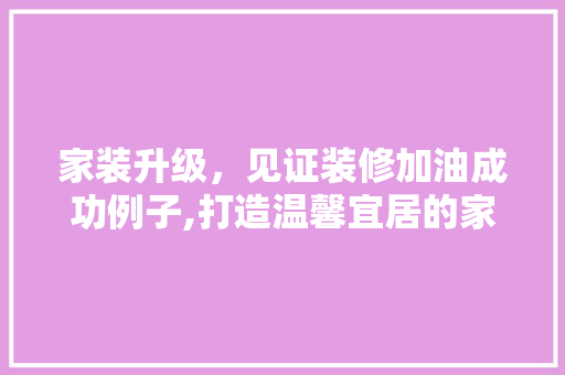 家装升级，见证装修加油成功例子,打造温馨宜居的家居环境