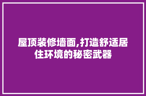 屋顶装修墙面,打造舒适居住环境的秘密武器 公共建筑设计