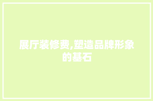 展厅装修费,塑造品牌形象的基石 工艺流程
