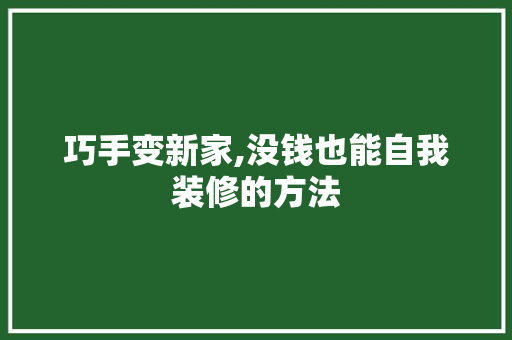 巧手变新家,没钱也能自我装修的方法 材料设备