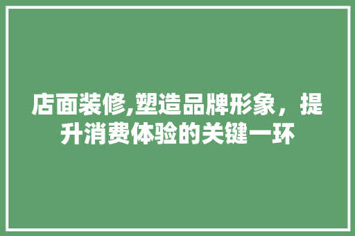 店面装修,塑造品牌形象，提升消费体验的关键一环 施工技术