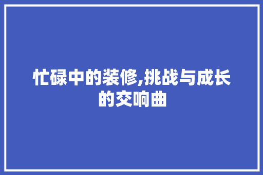 忙碌中的装修,挑战与成长的交响曲 施工管理