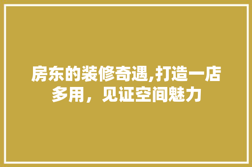 房东的装修奇遇,打造一店多用，见证空间魅力 公共建筑设计