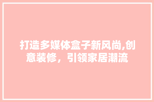 打造多媒体盒子新风尚,创意装修，引领家居潮流 工艺流程
