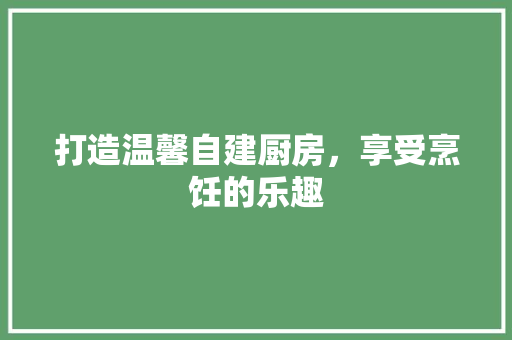 打造温馨自建厨房，享受烹饪的乐趣 设计原则