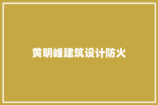 黄明峰建筑设计防火 施工管理