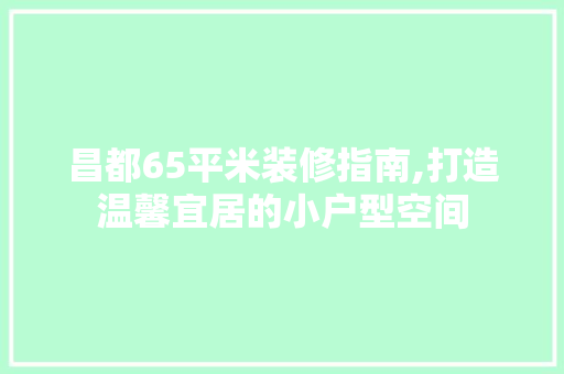 昌都65平米装修指南,打造温馨宜居的小户型空间 施工技术