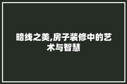 暗线之美,房子装修中的艺术与智慧 施工工艺