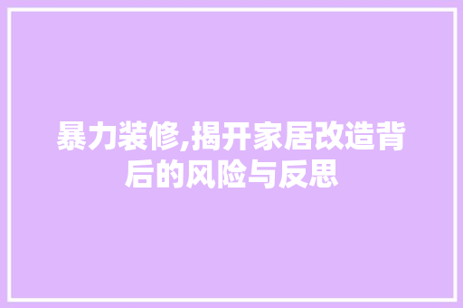 暴力装修,揭开家居改造背后的风险与反思 施工工艺
