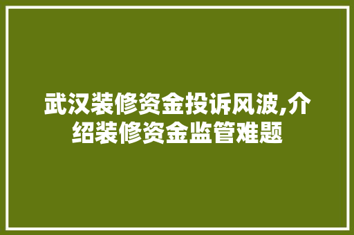 武汉装修资金投诉风波,介绍装修资金监管难题 建筑法规