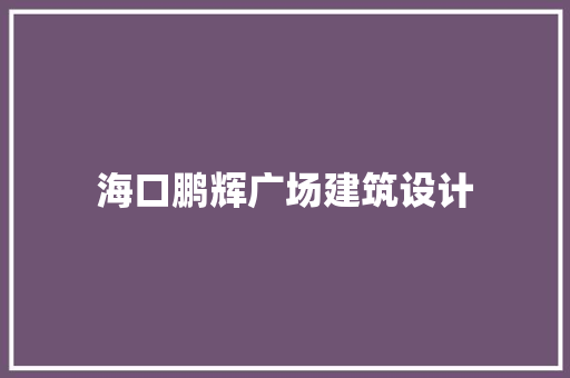 海口鹏辉广场建筑设计 公共建筑设计
