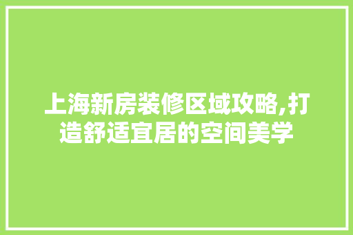 上海新房装修区域攻略,打造舒适宜居的空间美学 施工技术