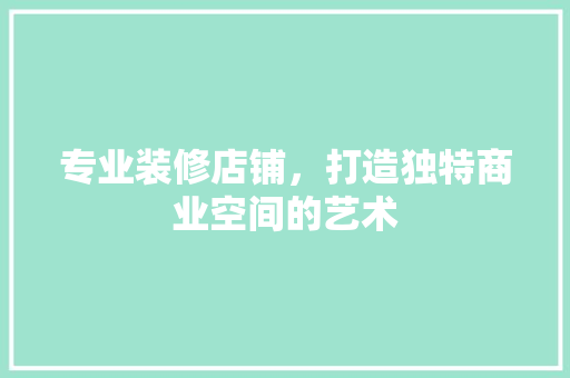 专业装修店铺，打造独特商业空间的艺术 工艺流程