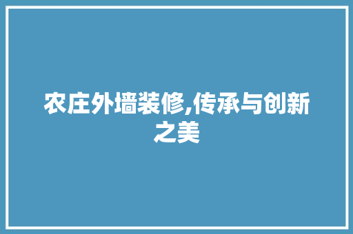 农庄外墙装修,传承与创新之美 施工管理