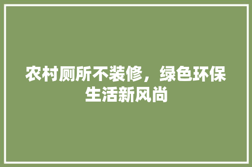 农村厕所不装修，绿色环保生活新风尚 施工技术