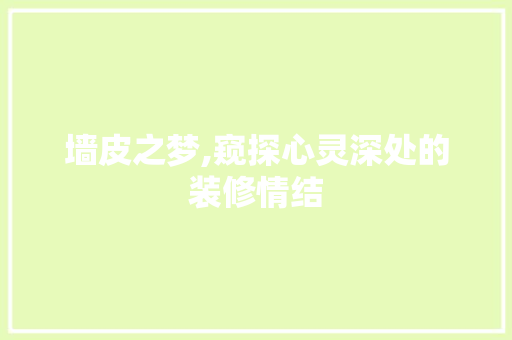 墙皮之梦,窥探心灵深处的装修情结 施工工艺