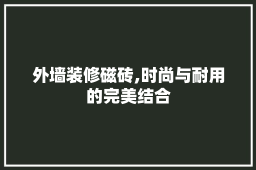 外墙装修磁砖,时尚与耐用的完美结合 施工工艺