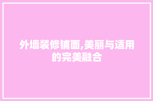 外墙装修铺面,美丽与适用的完美融合 建筑设计