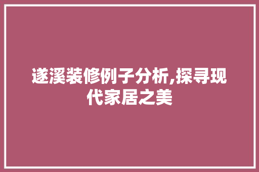 遂溪装修例子分析,探寻现代家居之美 施工管理