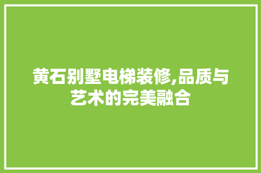 黄石别墅电梯装修,品质与艺术的完美融合