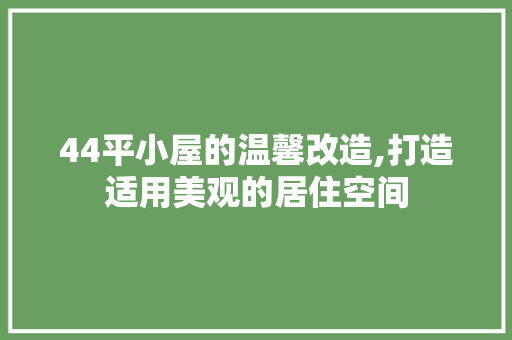 44平小屋的温馨改造,打造适用美观的居住空间 施工管理