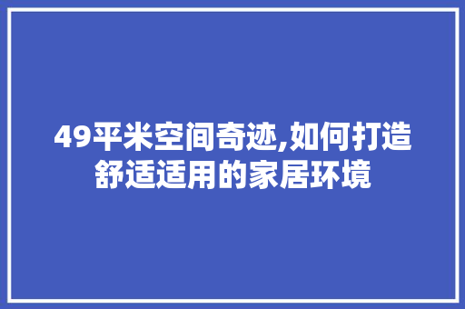 49平米空间奇迹,如何打造舒适适用的家居环境 住宅建筑设计
