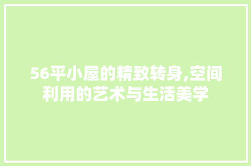 56平小屋的精致转身,空间利用的艺术与生活美学 施工技术