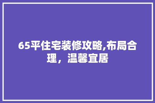 65平住宅装修攻略,布局合理，温馨宜居 知识问答
