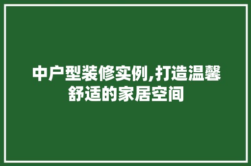 中户型装修实例,打造温馨舒适的家居空间 住宅建筑设计