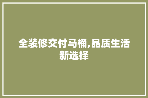 全装修交付马桶,品质生活新选择 新型材料
