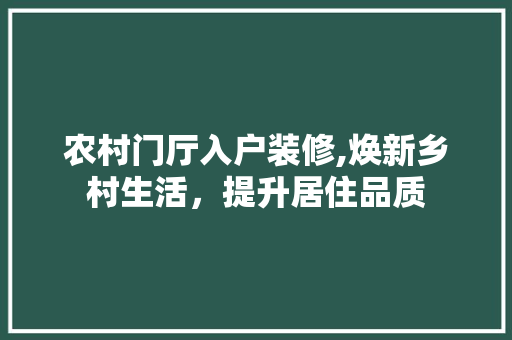 农村门厅入户装修,焕新乡村生活，提升居住品质 施工技术
