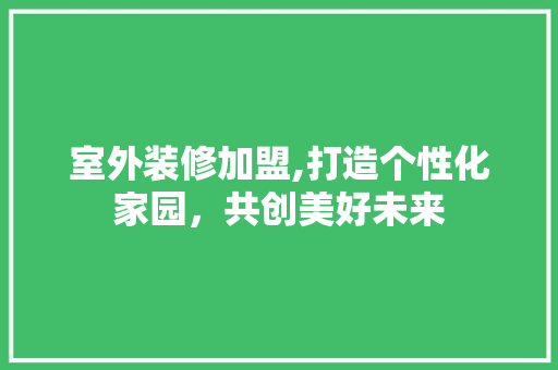 室外装修加盟,打造个性化家园，共创美好未来 建筑设计