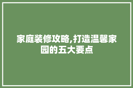 家庭装修攻略,打造温馨家园的五大要点 施工技术