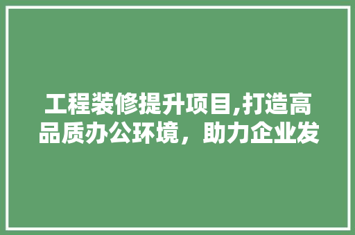 工程装修提升项目,打造高品质办公环境，助力企业发展新篇章 施工工艺