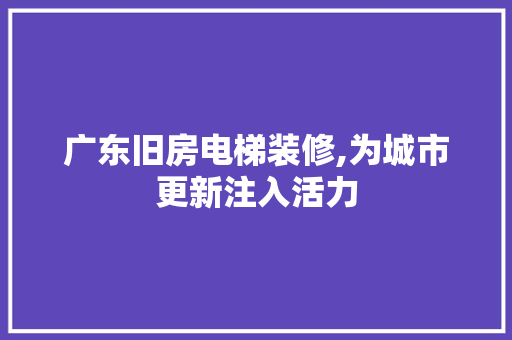 广东旧房电梯装修,为城市更新注入活力 施工工艺