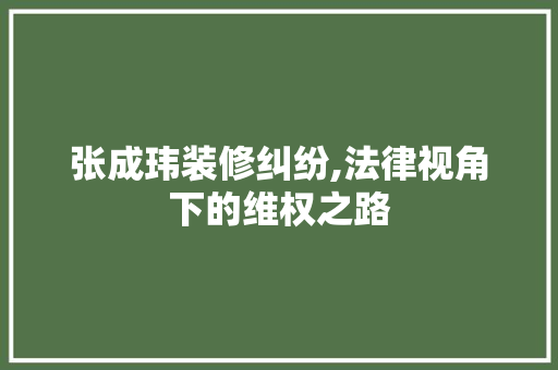 张成玮装修纠纷,法律视角下的维权之路