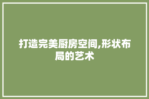 打造完美厨房空间,形状布局的艺术 施工工艺