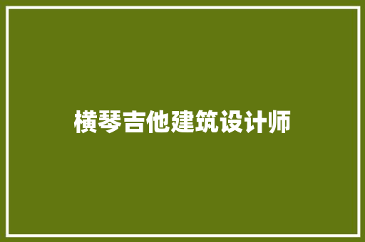 横琴吉他建筑设计师