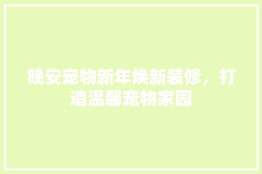 晚安宠物新年焕新装修，打造温馨宠物家园 知识问答