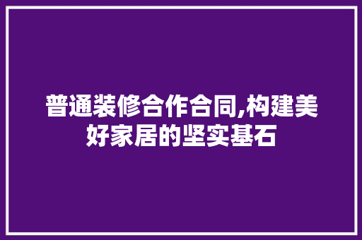 普通装修合作合同,构建美好家居的坚实基石 常用设备