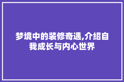 梦境中的装修奇遇,介绍自我成长与内心世界 工艺流程