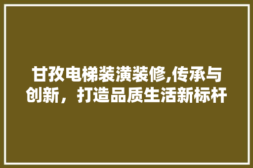 甘孜电梯装潢装修,传承与创新，打造品质生活新标杆 常用设备